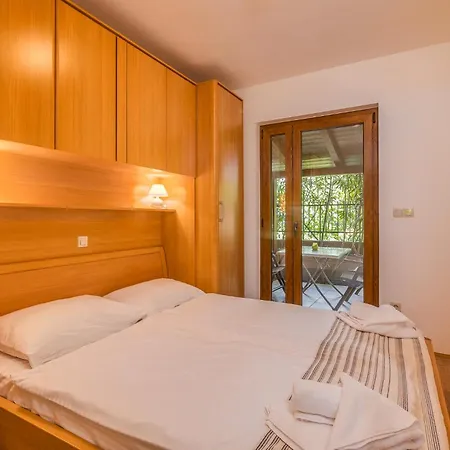 Celeste 科里米诺